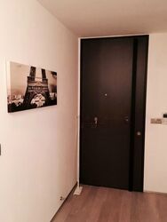 Skysuites@Anson (D2), Apartment #571791331
